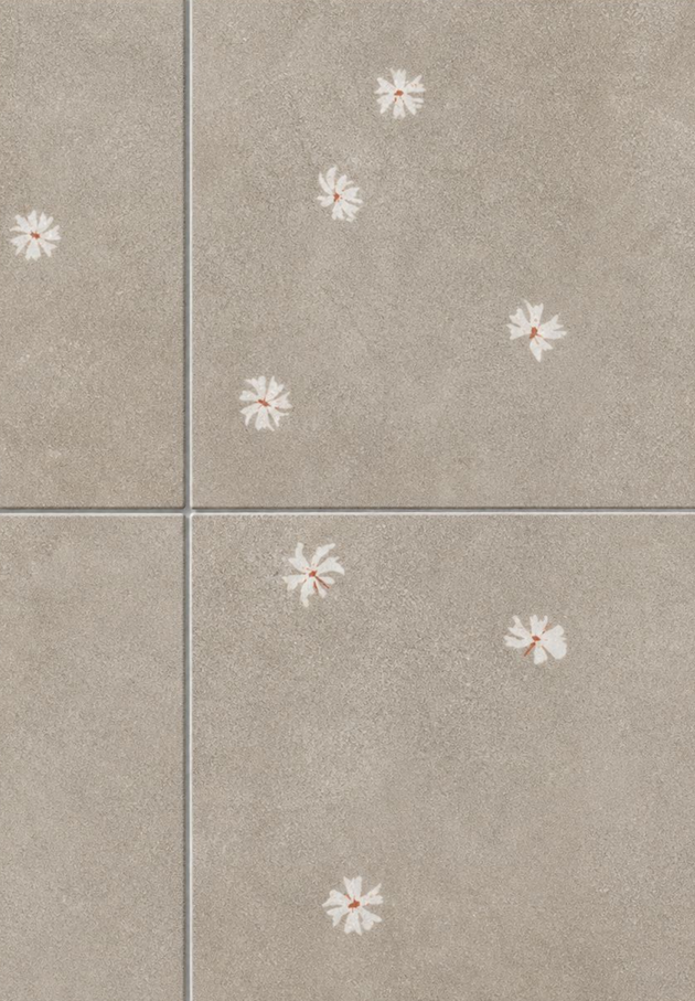 Parijatha surface collection